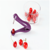 Handheld Olive Plastic Fruit Core Seed Remover